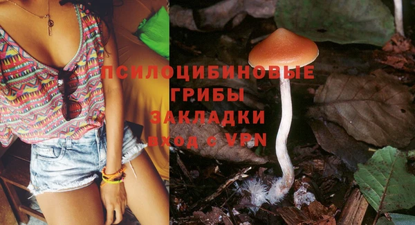 стафф Белоозёрский